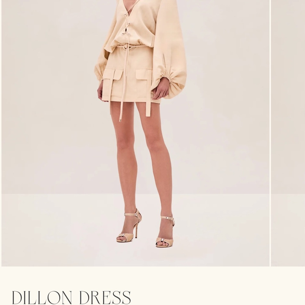 Alexis Dillon Dress